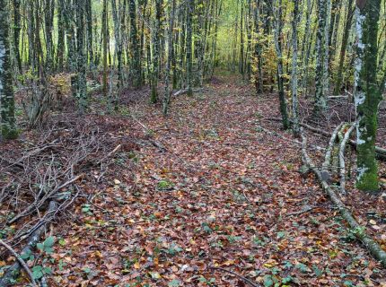 Congrès 2026 en Ardèche