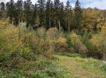 Congrès 2024 dans le Morvan, du dimanche 12 au vendredi 17 mai.